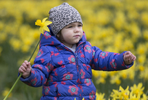 春光无限好！世界各地春日美景(高清)