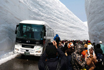日本立山黑部阿尔卑斯路线开放 可欣赏雪墙奇观
