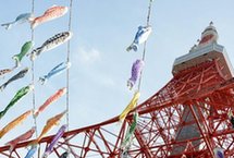 日本东京塔挂333面鲤鱼旗迎儿童节（图）