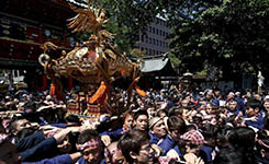 日本众人抬轿庆祝传统神田祭 场面壮观(图)