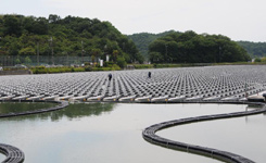 日本最大水上光伏电站竣工