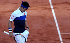 2015法国网球公开赛：锦织圭无缘四强