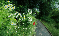 日本文化巡礼：夏至