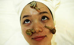 图刊:美容也疯狂