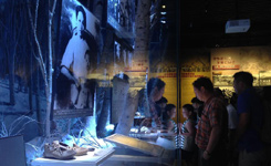 &ldquo;伟大胜利 历史贡献&rdquo;主题展览吸引众多观众