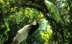 偶阵雨，也很美--共赏那些年撑过的美伞