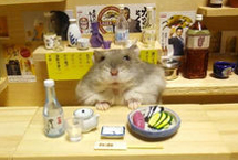 居酒屋小倉鼠爆紅日本臉譜