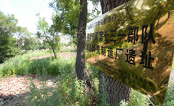 "731"部队遗址考古发掘现场