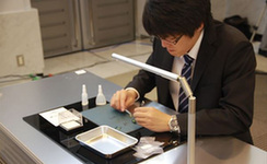 日本一医院招实习生测试拼接昆虫尸体(组图)