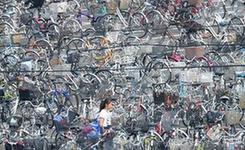 车海茫茫：日本大型自行车停车场宛如迷宫（图）