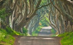 全球最美14条公路