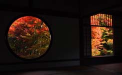 京都赏红叶名所Top15