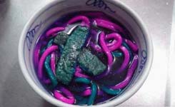 日本又出奇葩料理