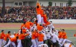 八种全球最奇特运动