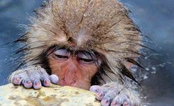 全球最佳旅行摄影照片