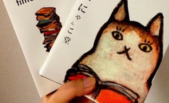 为何如此宠爱"喵星人"