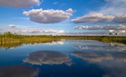 面临危险状态的地标