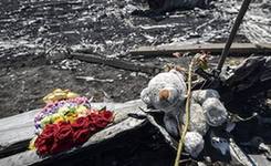 近年来全球重大空难