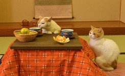 日本令人惊叹的便利之处