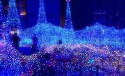 今冬东京八大灯展