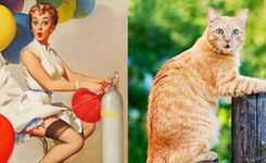 喵星人VS复古海报女郎