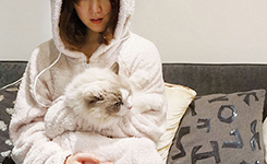 “猫咪装”成潮流新宠