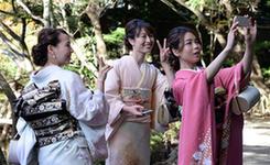 东京:初冬秋意浓