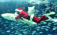 圣诞老人玩转这个冬天