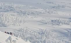 日本摄影师捕捉奇景