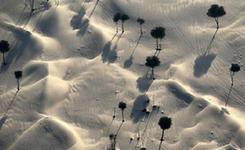 路透社2015航拍照片