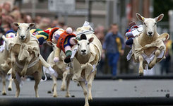 盘点惊掉下巴的比赛