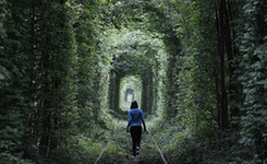 被遗弃的绝美景点