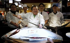 日本水产市场开市 巨型金枪鱼1400万日元成交