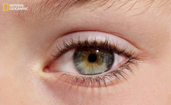 动物眼睛特写合集