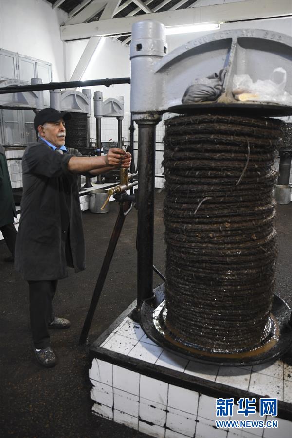 （XHDW）（1）突尼斯的橄榄油作坊