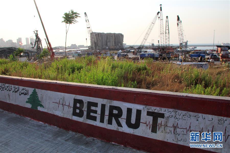 （国际&middot;一周看天下）荒草萋萋诉浩劫