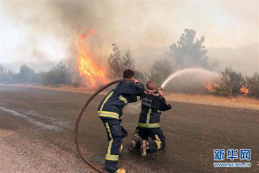 （国际&middot;一周看天下）土耳其：林火持续