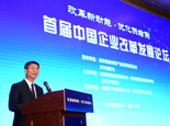 首屆中國企業改革發展論壇在京舉行