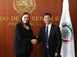 墨西哥參議院第一副參議長：中國的發展將使世界更加美好