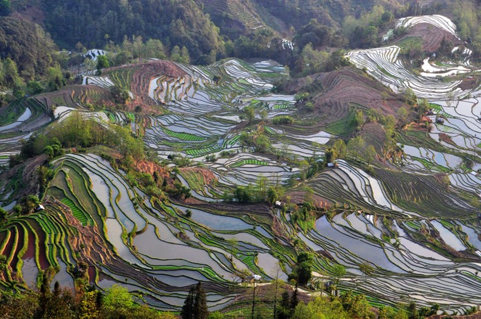 【美丽农村】装饰山乡的曲线！