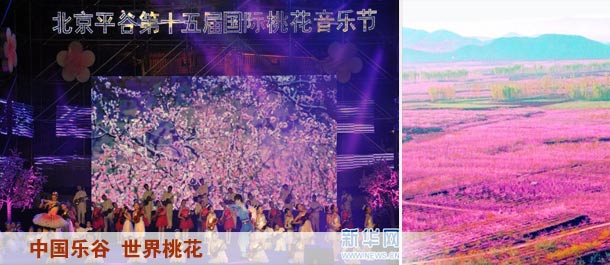 中国乐谷 世界桃花