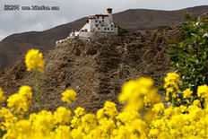 雍布拉康：大唐公主遗落在山南的足迹