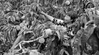 重走长征之路 感受四川发展