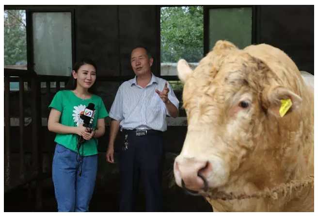 好记者讲好故事| 驻马店广播电视台潘聪:三个共