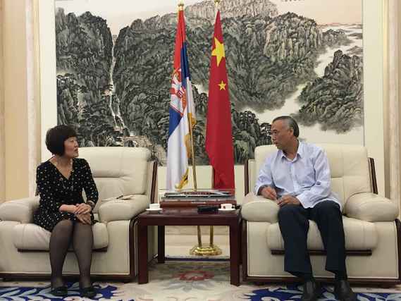 中国驻塞尔维亚大使：塞尔维亚给中企更优惠政策