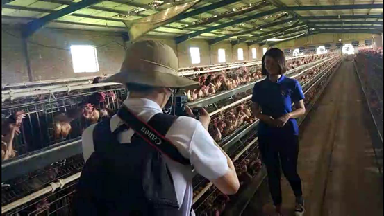 【中传新闻学子兰考行】探寻张庄村民致富路