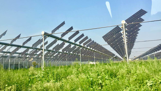 【清华新闻学子安徽行】绿色产业&ldquo;点亮&rdquo;精准扶贫