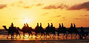 陕西：架设数字丝绸之路