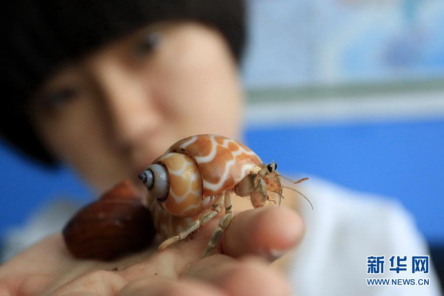 萌宠经济亮了特色小镇 浙江平阳推动产业转型升级