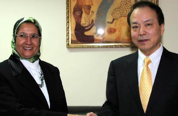 非盟委员会执行主席会见新华社总编辑何平